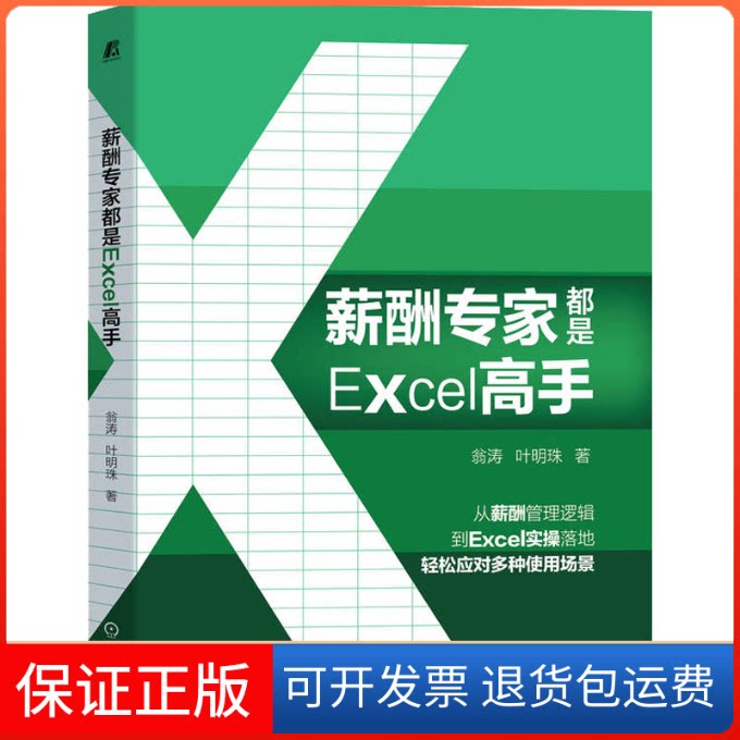 【保正版】薪酬专家都是Excel高手翁涛,叶明珠机械工业出版社9787111710028