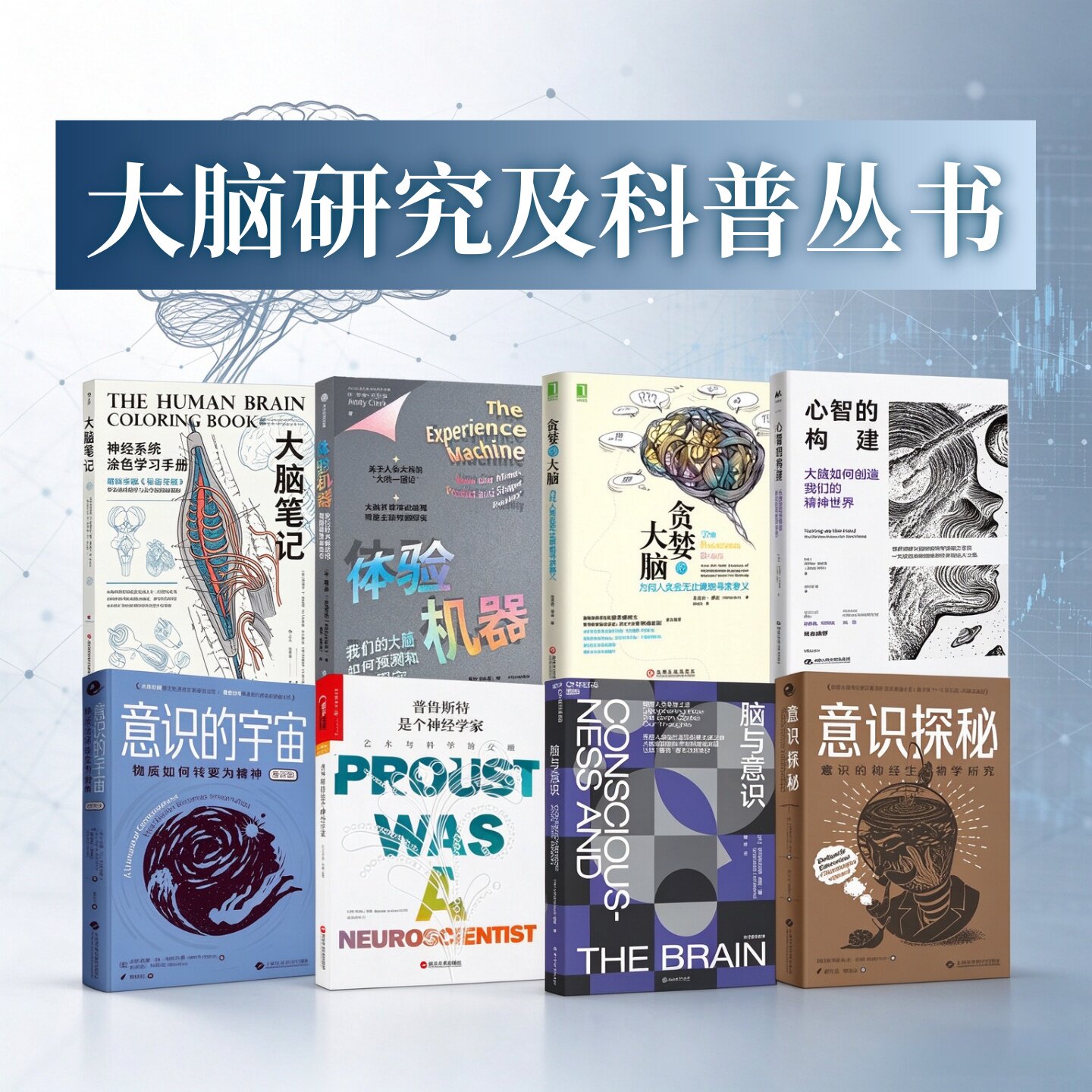 大脑及脑神经研究科普丛书