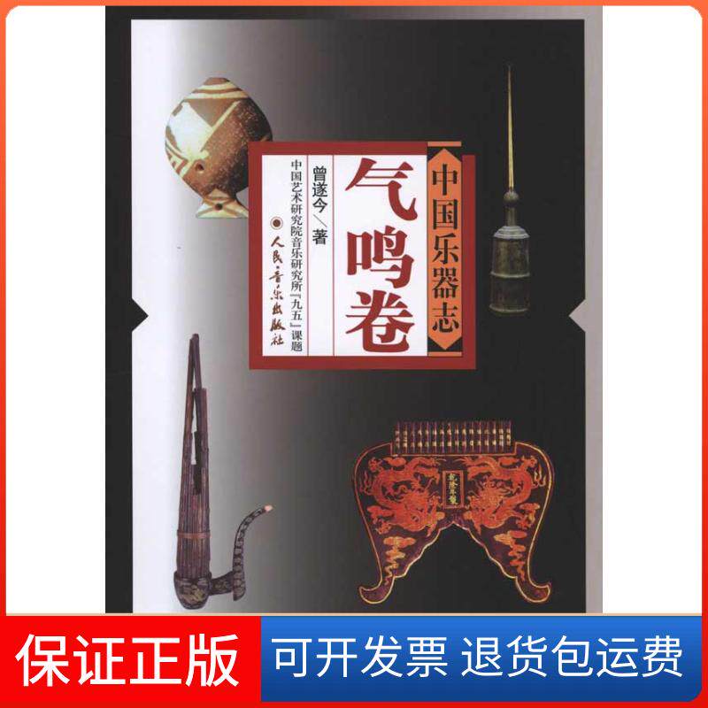 【保正版】中国乐器志·气鸣卷曾遂今人民音乐出版社9787103029312