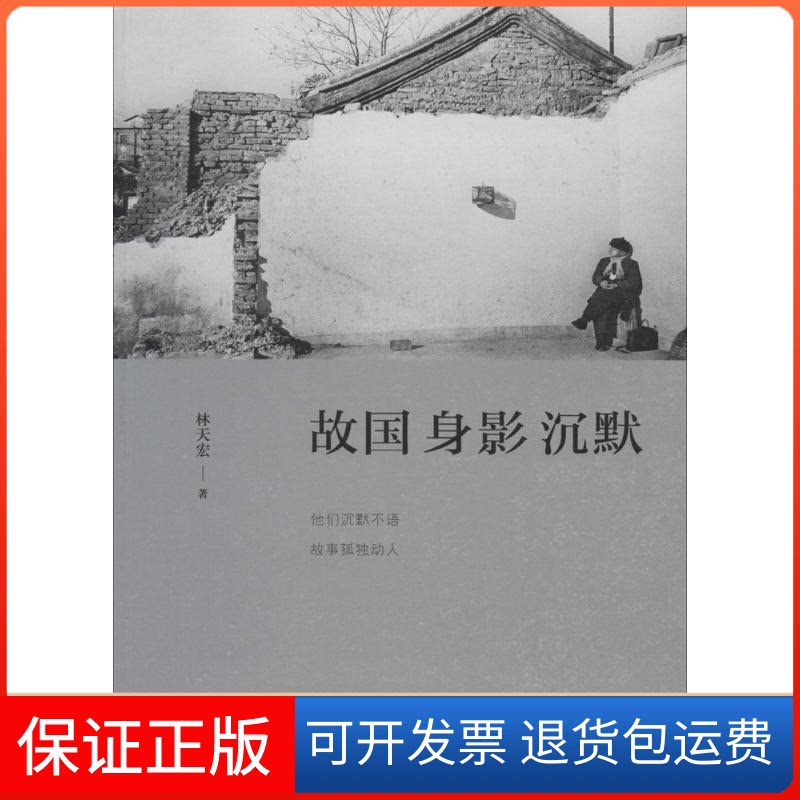 【保正版】故国身影沉默林天宏 著中国人民大学出版社9787300195469