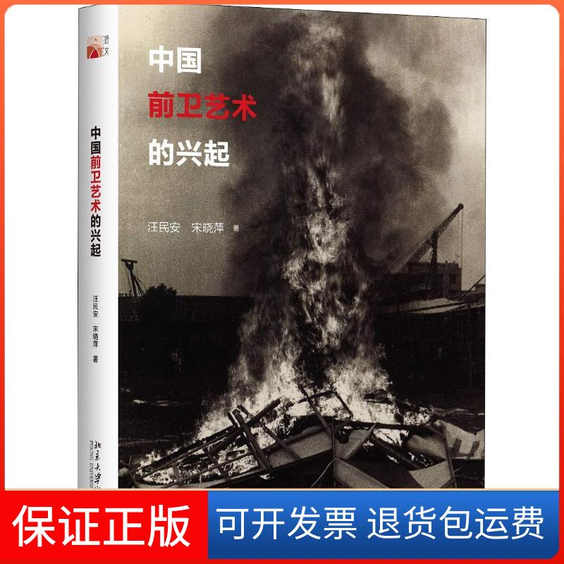 【保正版】中国前卫艺术的兴起汪民安北京大学出版社9787301286616