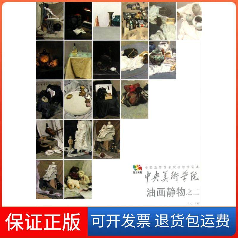 【保正版】中央美术学院油画静物之二(中国高等艺术院校教学范本)袁元人民美术9787102059235