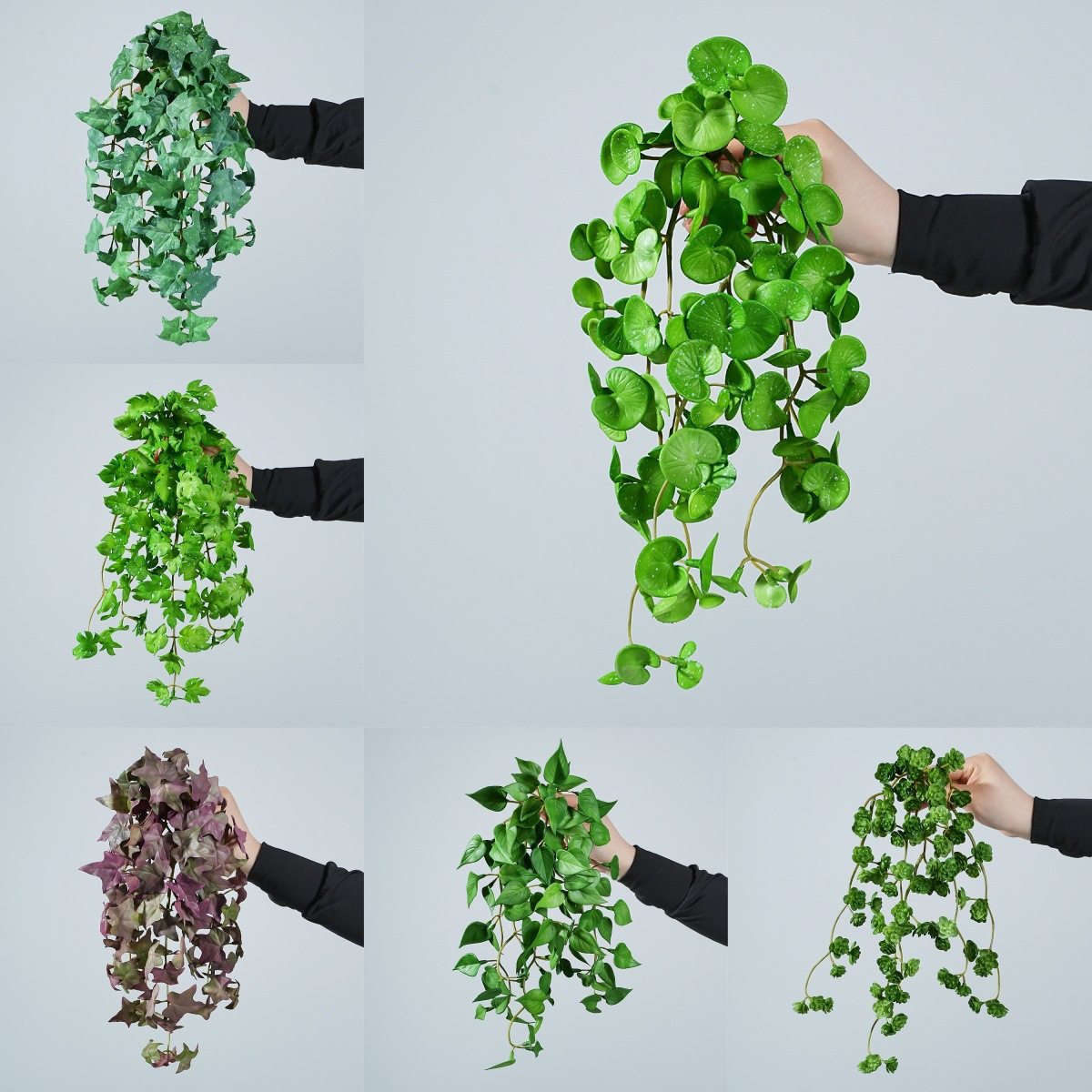 金钱草铜钱草地瓜叶龟背叶仿真绿植软胶多肉垂挂造景盆栽装饰摆件,鲜花速递/花卉仿真/绿植园艺,仿真花,淘宝优惠券,粉丝福利购,淘宝优惠卷