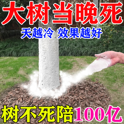 大树烂根药大树一滴死杀大树根药强力除树枯树王专用药烂根腐蚀剂