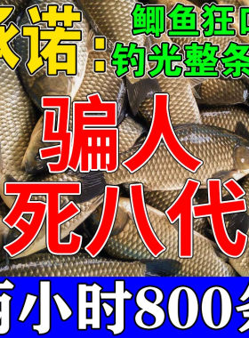 冬天钓鲫鱼饵料野钓黑坑季专用散炮打窝料主攻高级小药进口诱食剂