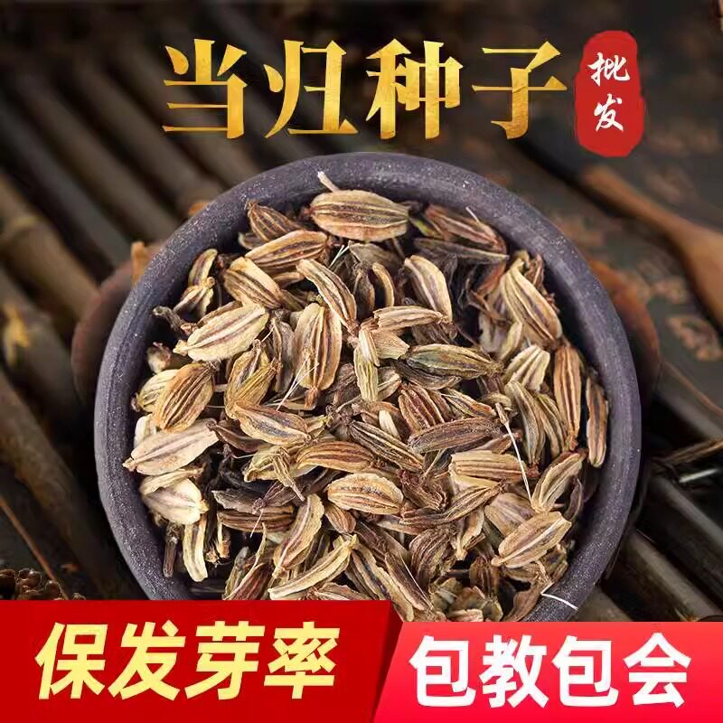 当归种子野生中药正品四季播种种籽岷县中药材苗苦参种籽党参种孑图片