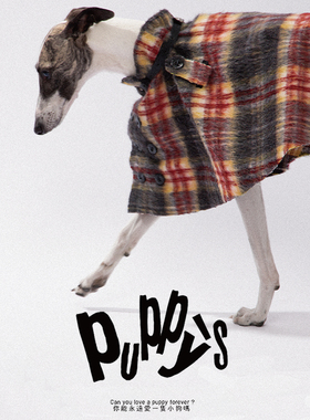 TAORAE中大小型宠物衣服雪纳瑞泰迪灵缇杜宾边牧英伦时尚保暖斗篷