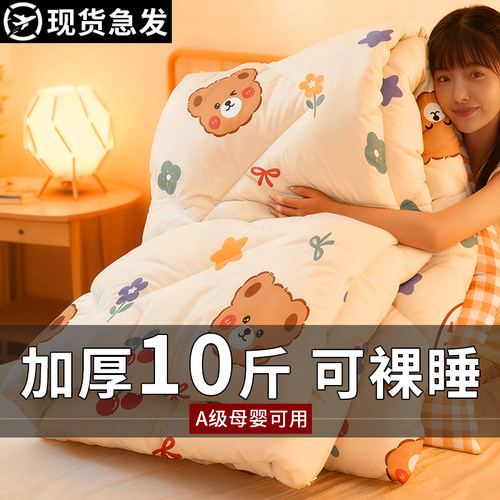 加厚10斤冬季保暖被子