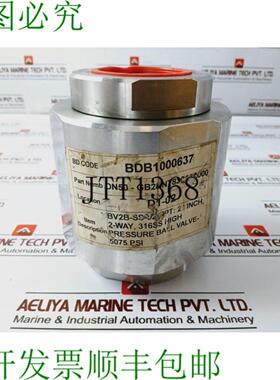 供应5075 PSI DN50-GB2NNT83044A000