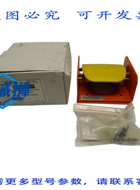 原装供应 REES 04949-000 NSMP