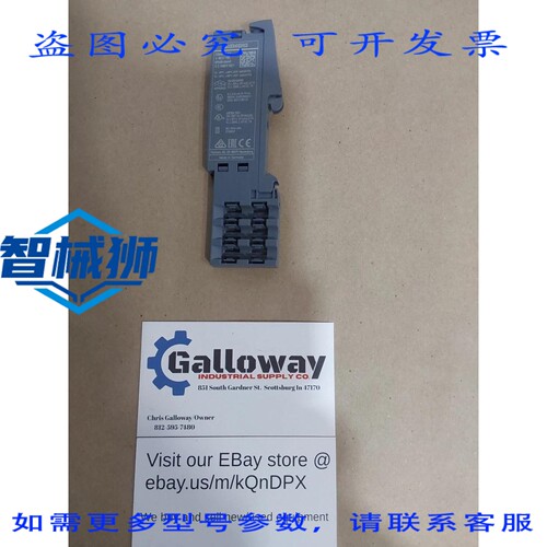 原装供应 6ES7193-6PA00-0AA0 SIMATIC S7 PLC DIN 导轨的模块