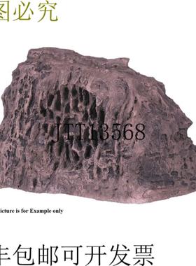 供应Rockustics econorock-S 65in 同轴户外音箱56hz-20khz