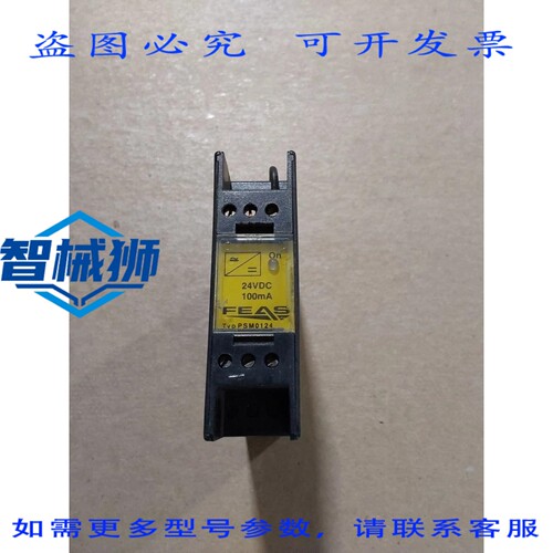原装供应 PSM0124 FEAS 电源 115/230V 45-66Hz
