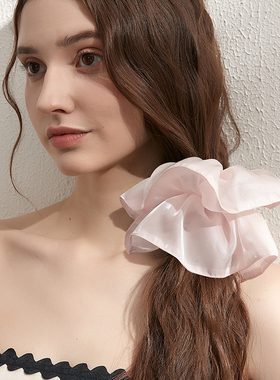 DAINEI岱妮柔光发圈女高级感发绳高弹力盘发马尾皮筋头绳发饰