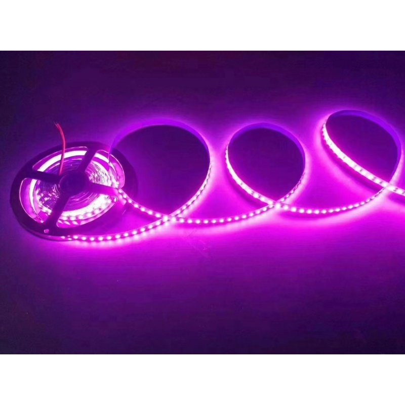 led灯带12v伏2835粉色灯带粉紫色裸板滴胶防水LED浪漫粉红24V灯带