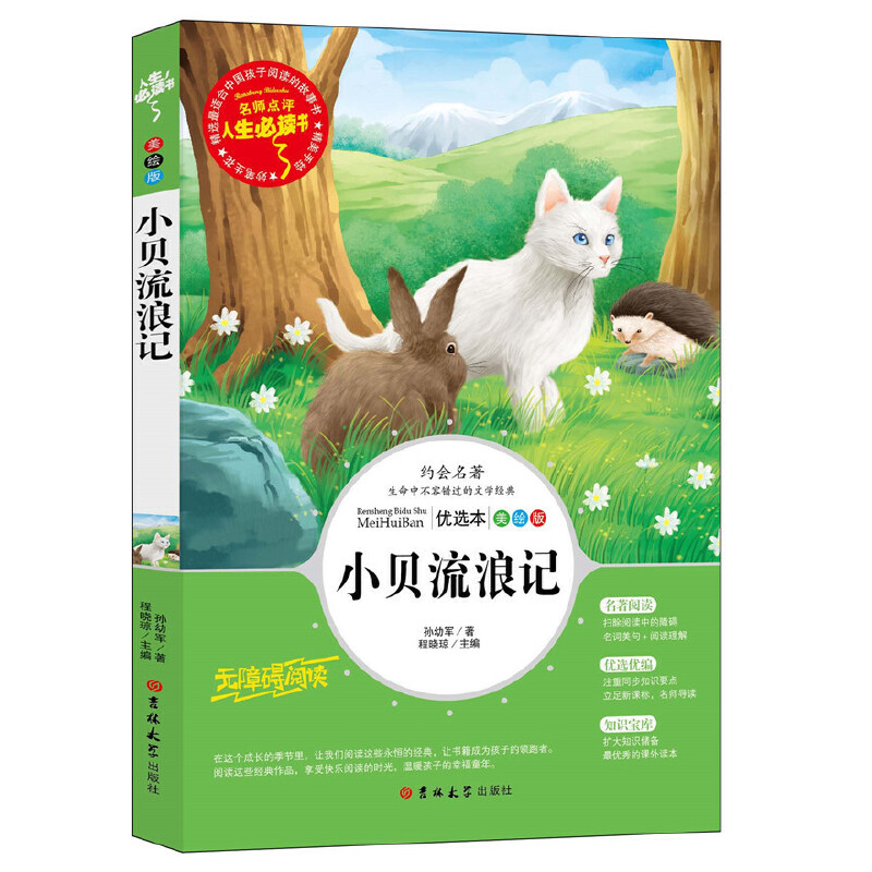正版图书包邮 人生书:大林和小林  (美绘版)(名师点评无障碍阅读)张天翼9787569263817吉林大学出版社