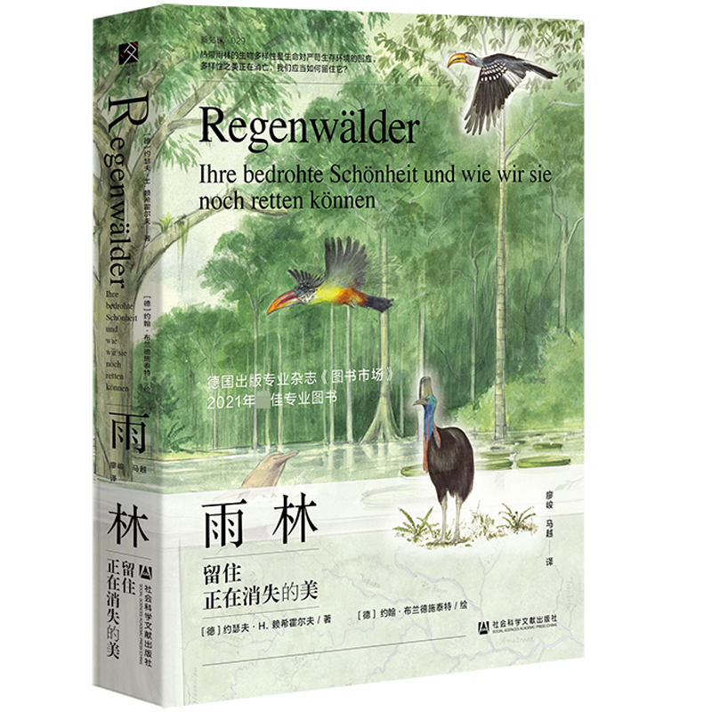 正版图书包邮雨林：留住正在消失的美（精装）[德]约瑟夫·H.赖希霍尔夫，[德]约翰·布兰德施泰特绘9787522808680 - 实物图