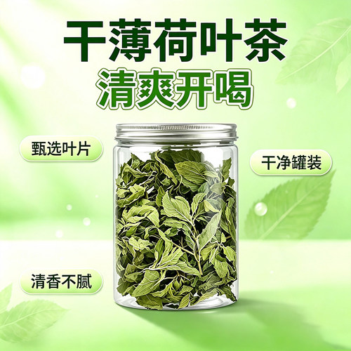 薄荷叶茶泡茶水喝的东西清凉花茶