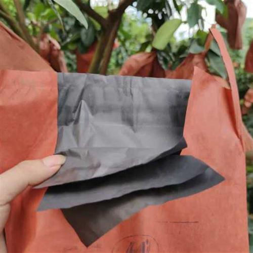 柚子套袋三红柚专用防虫防晒纸袋双层加厚避光防鸟单层双层蜜柚袋