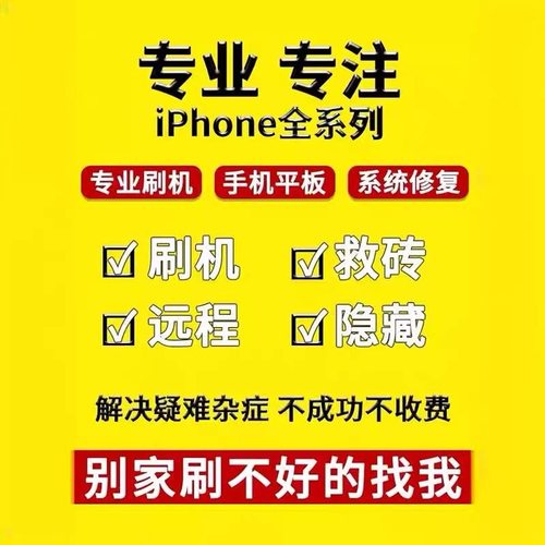 适用于苹果全系手机iphone刷机屏幕忘密码id绕隐藏id平板ipad激活