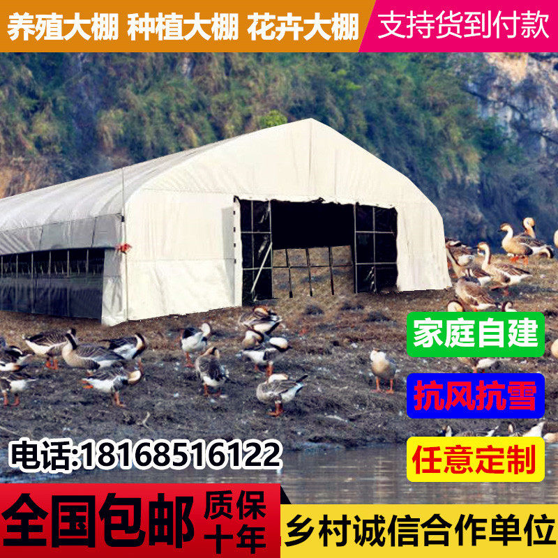 养鸡全套大棚鹏养u殖大s棚骨架养羊全款鸡殖保温◆新套◆养舍钢管
