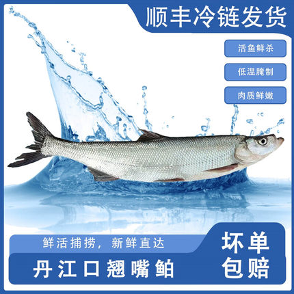 十堰丹江口翘嘴鱼湖北特产刁子鱼楚食比亚新鲜翘嘴鲌鱼大白刁鱼
