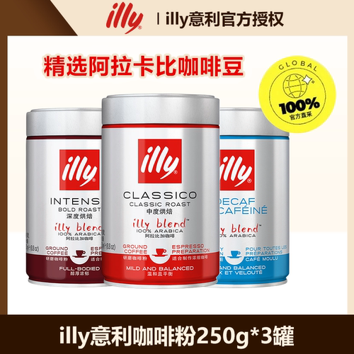 illy意利进口咖啡粉250g