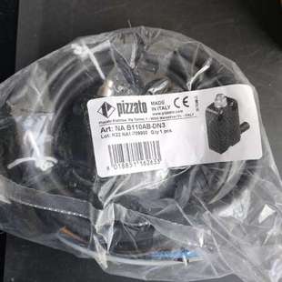 DN3300个 PIZZATO开关NAB110AB 议价