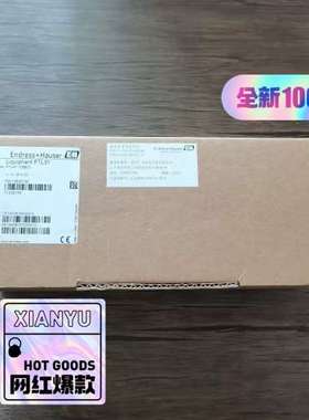 (议价） E+H恩德斯豪斯 FTL31-1D880 音