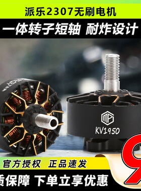 MasterPilot派乐5/6寸桨高端无刷电机2307 1750/1950KV花飞竞速