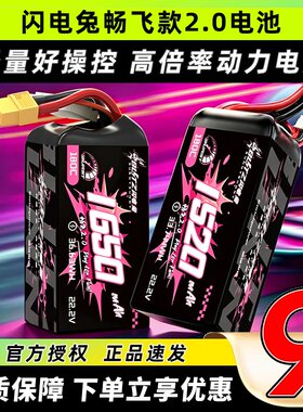 银瑞BLITZ闪电兔电池畅飞2.0系列