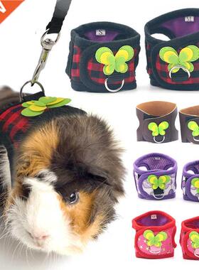 Small Pet Two-legged Chest Strap Outdoor Tracton Rope Leash