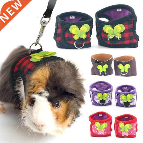 Small Pet Two-legged Chest Strap Outdoor Tracton Rope Leash