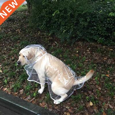 Pet Dog Waterproof Raincoat Transparent Dog things rain cap