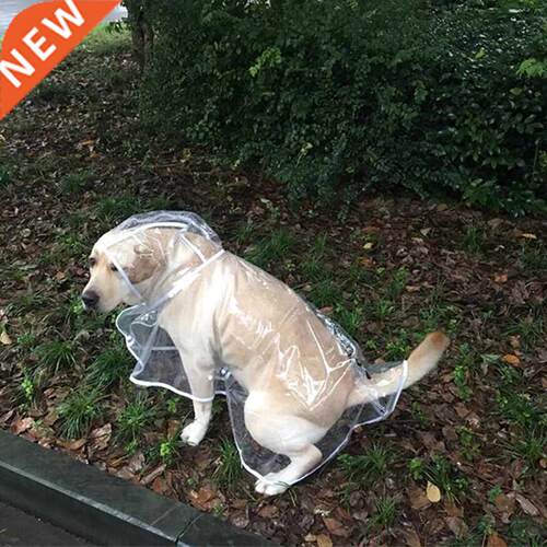 Pet Dog Waterproof Raincoat Transparent Dog things rain cap