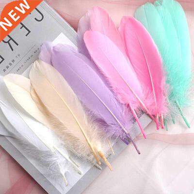 Natural Goose Feathers Plumes 15-20cm Colourful Swan Feather