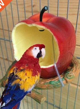 Funny Fruit-aped Birds Feeder Bowl Parrot Pet Dispenser