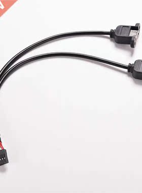High Speed 0cm/1FT 2 Dual Port USB A Female to Internal 9 P