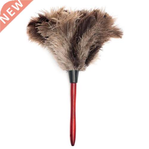 Feather Dusters Ostrich Duster With Wood Long Handle Brush E
