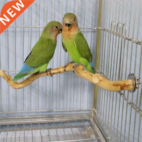 Pet Parrot Bird Standing Stick Wood Pole Parrot Toy Bird