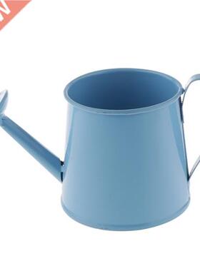 Pastoral Style Colorful Tin Flower Pot Mini Bonsai Watering