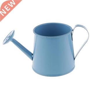 Pastoral Style Colorful Tin Flower Pot Mini Bonsai Watering