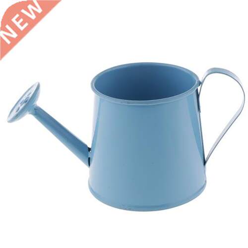 Pastoral Style Colorful Tin Flower Pot Mini Bonsai Watering