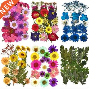 DIY Dried Flowers Resin Mold Fillings UV Expoxy Flower for N