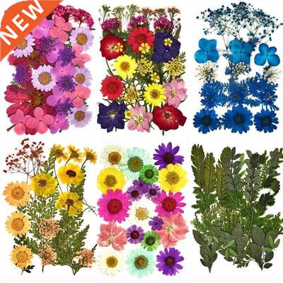 DIY Dried Flowers Resin Mold Fillings UV Expoxy Flower for N