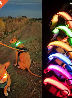 Usb Charging Led Dog Collar Safety Led Luminous Dog Pet Ligh