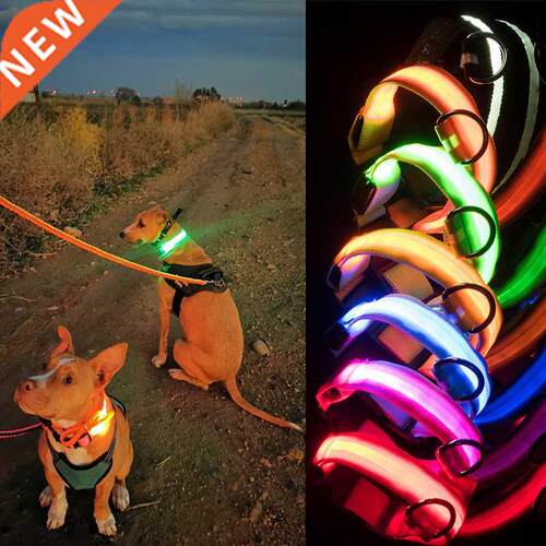 Usb Charging Led Dog Collar Safety Led Luminous Dog Pet Ligh