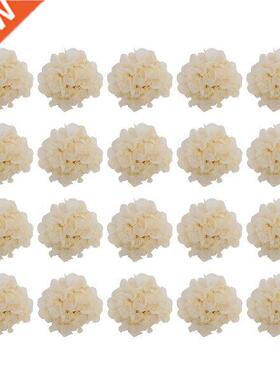 20 Pcs Tissue Paper Pom Poms Paper Pompoms Paper Flower