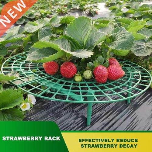 5/10 PCS Strawberry Stand Frame Holder Balcony Planting