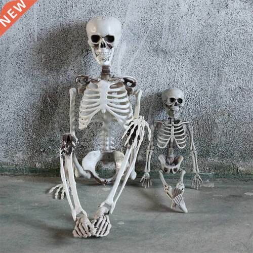 Halloween Skeleton Full Body Halloween Skeleton Skeleton